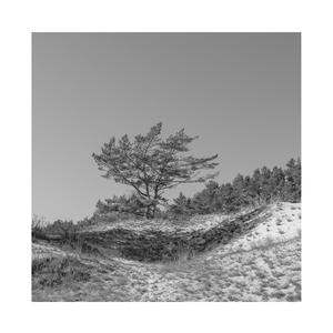 黄色香蕉91女生
